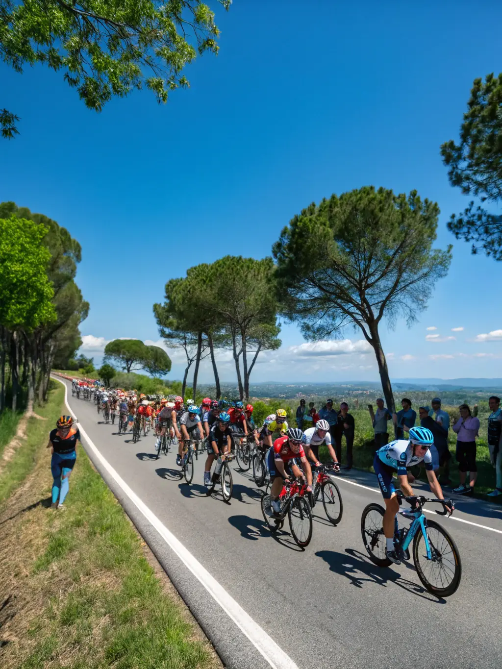 A vibrant photograph capturing the excitement of the annual cycling criterium, showcasing cyclists racing through the streets of Chataigneraie with enthusiastic spectators cheering them on.